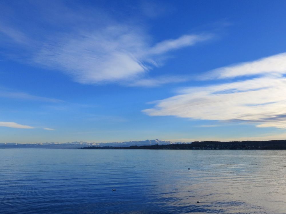 Blick über den Bodensee