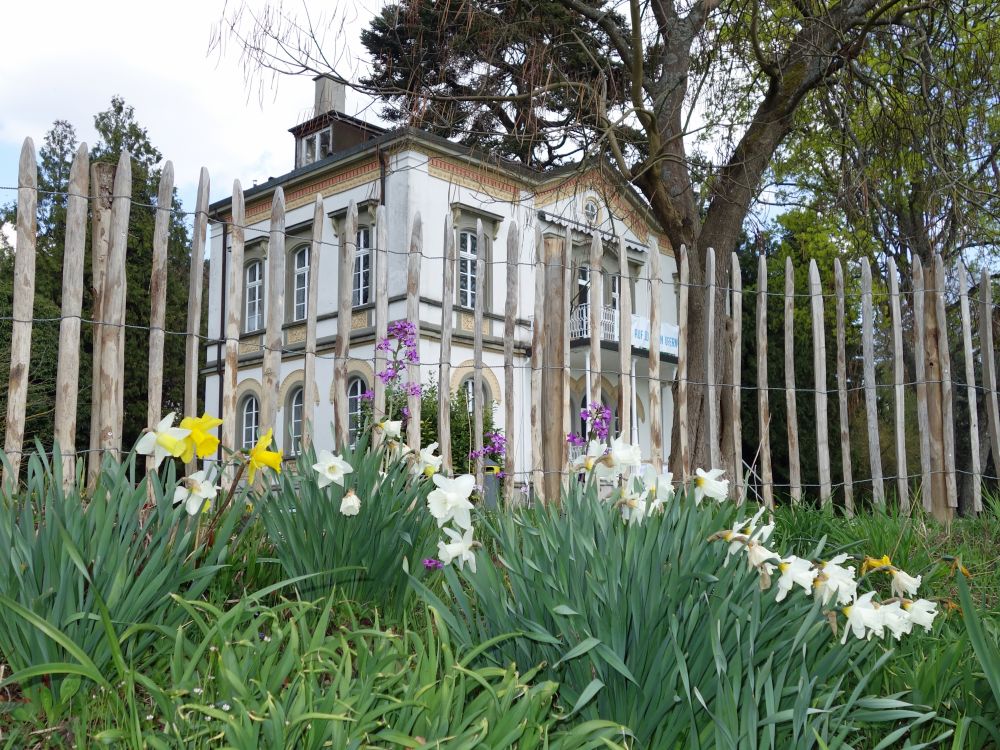 Villa am Sadtgarten