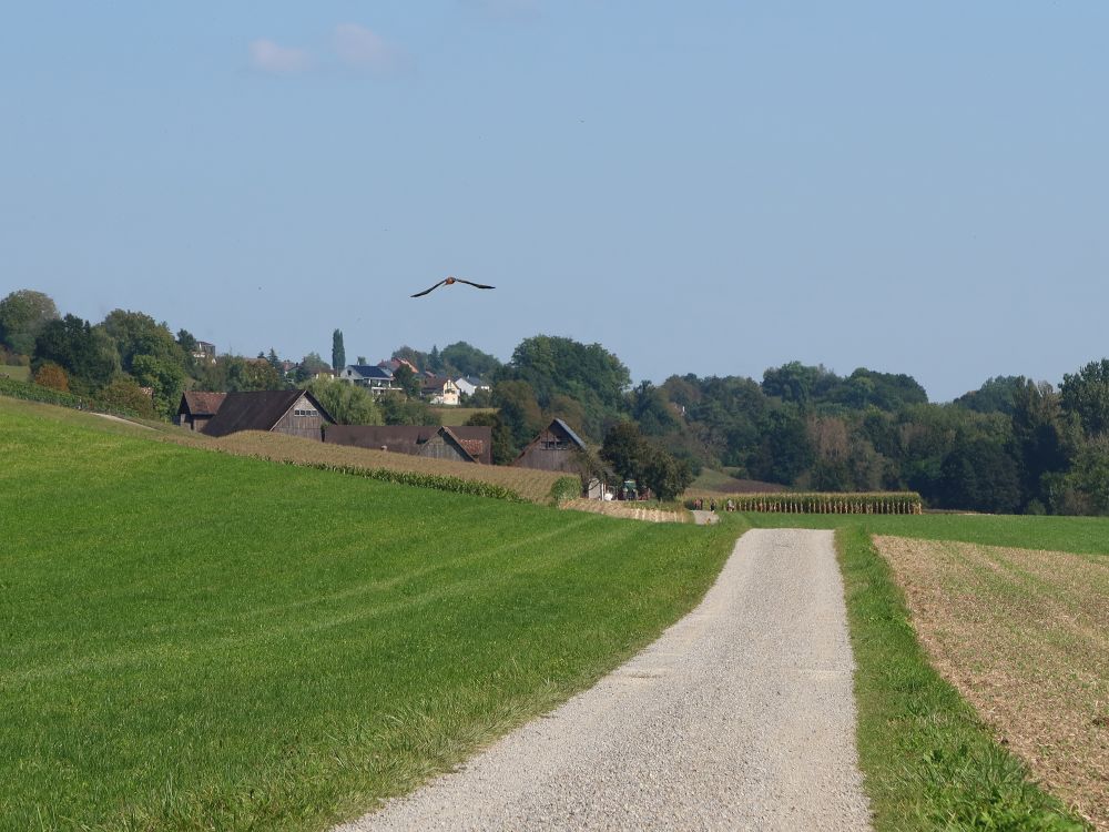 Blick Richtung Müliport