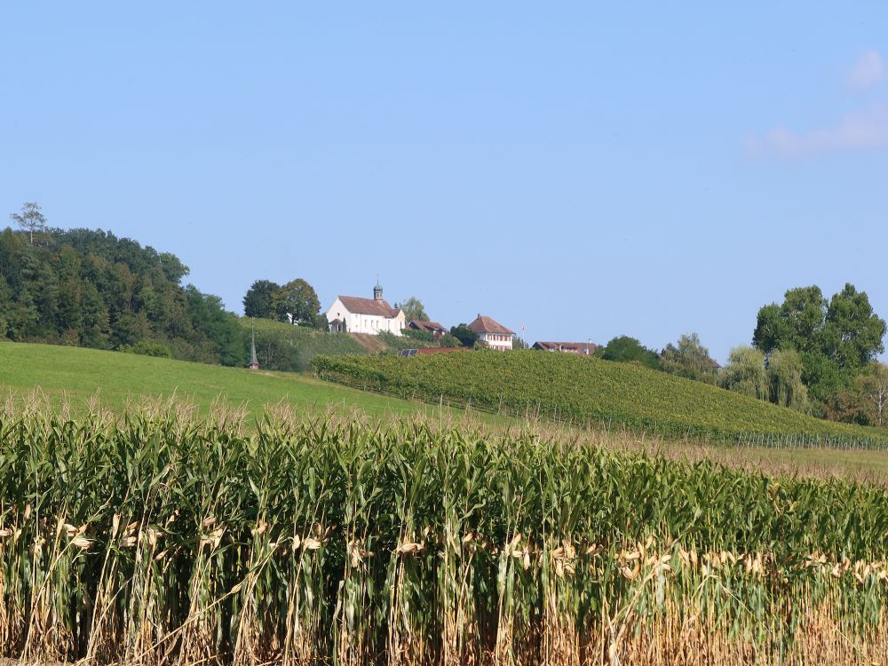 Kirche St. Martin