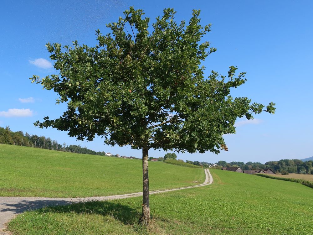 Blick Richtung Müliport