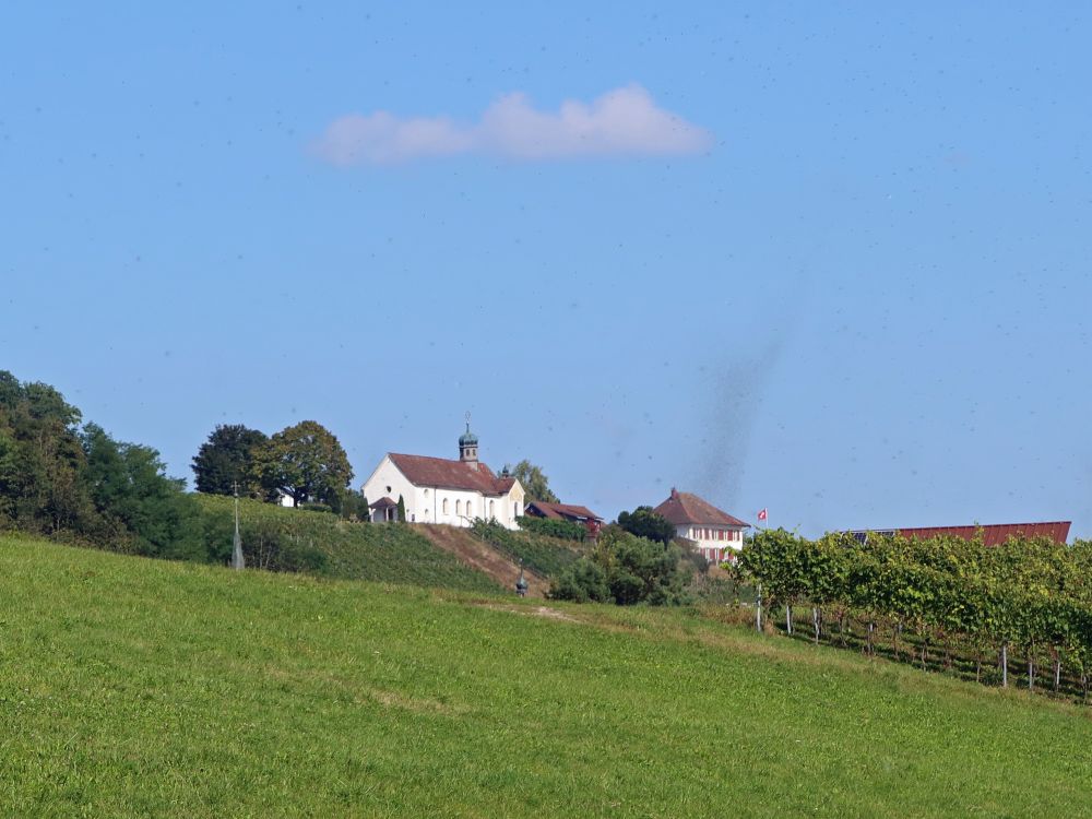 Kirche St. Martin