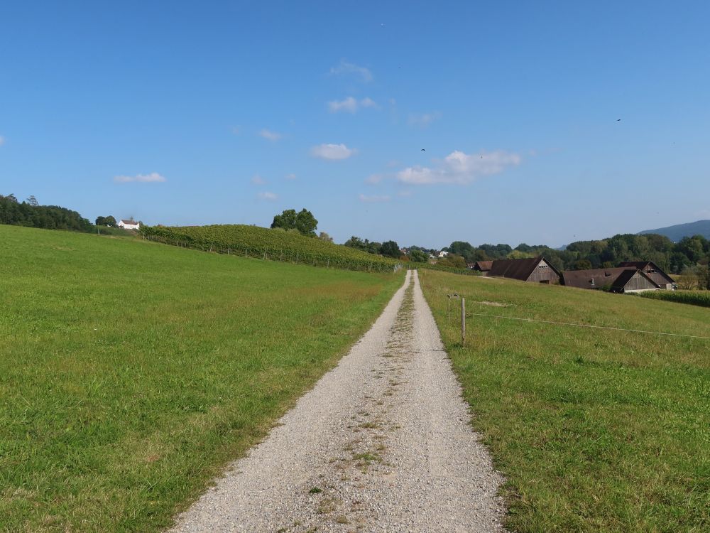 Blick Richtung Müliport