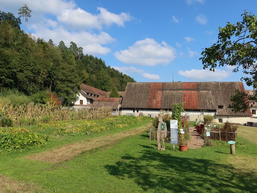 Kleiner Hopfengarten