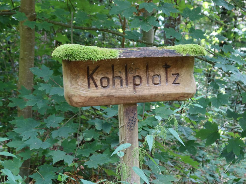 Holztafel am Kohlplatz