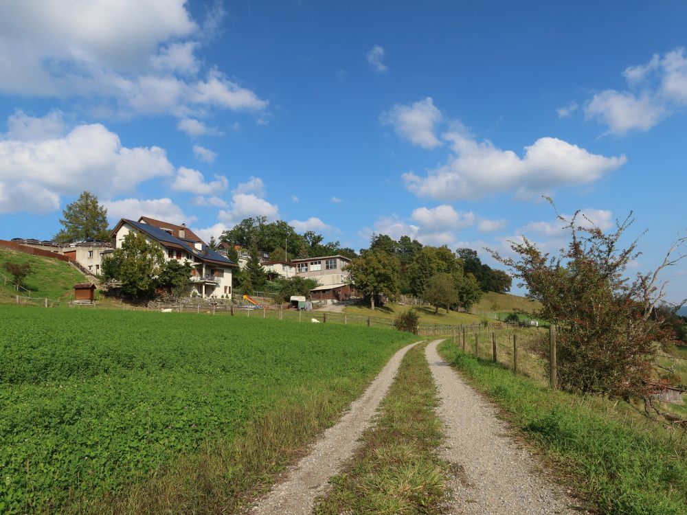 Blick Richtung Wachthütte