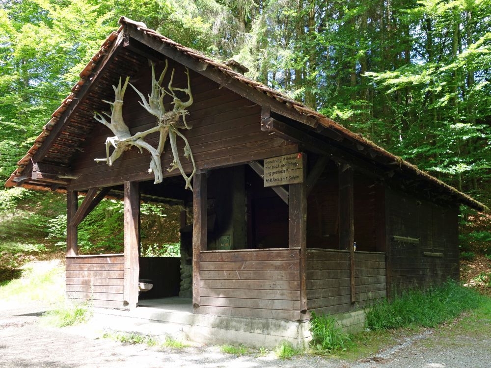 Hütte am Nellenfurtweiher