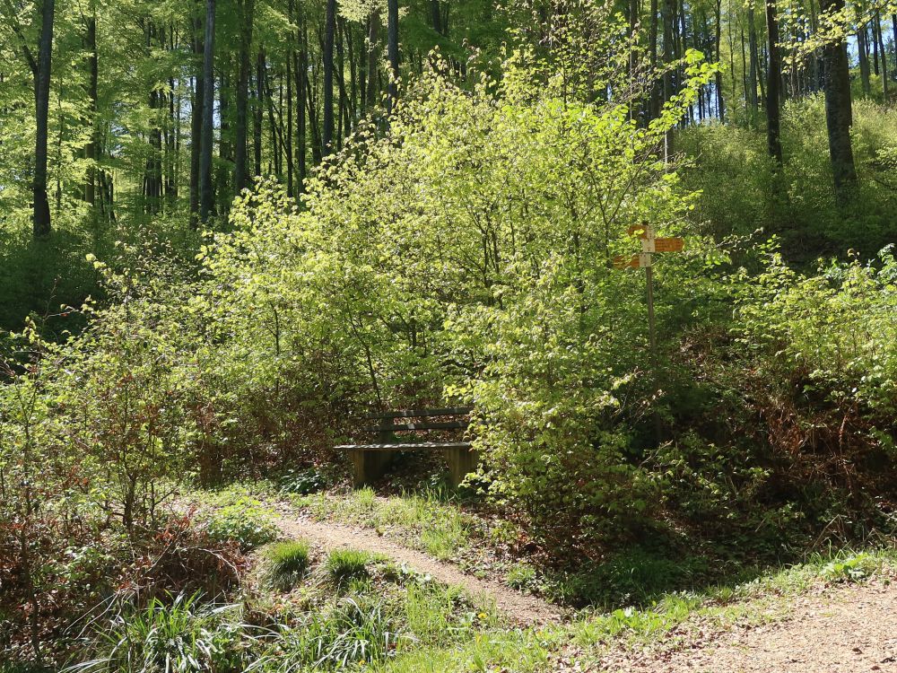 Sitzbank und Wanderwegweiser