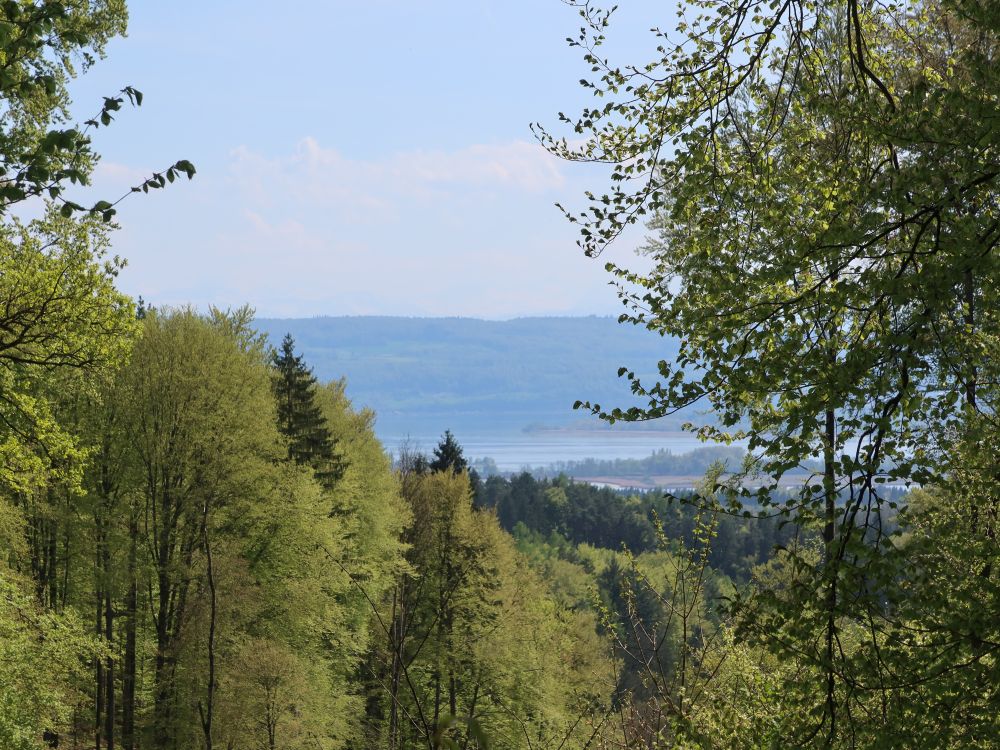 Blick zu Untersee und Mettnau