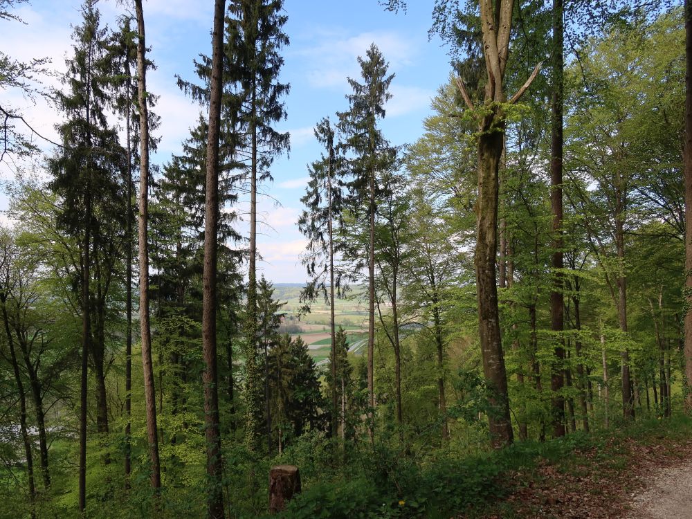 B34 zwischen den Bäumen