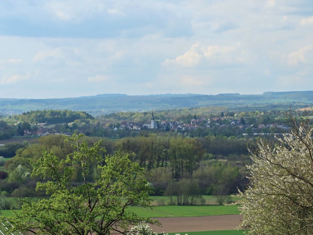 Blick Richtung Wahlwies