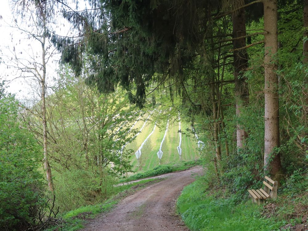 Sitzbank am Panoramaweg