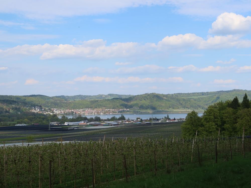 Ludwigshafen am Überlingersee