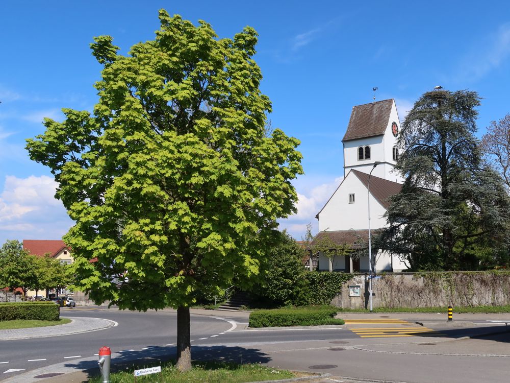 Kirche mit Storch auf dem Baum