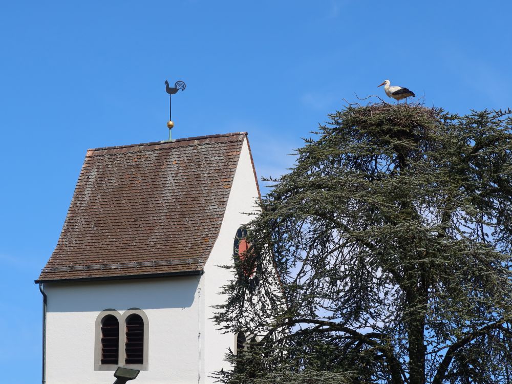 Kirche mit Storch auf dem Baum