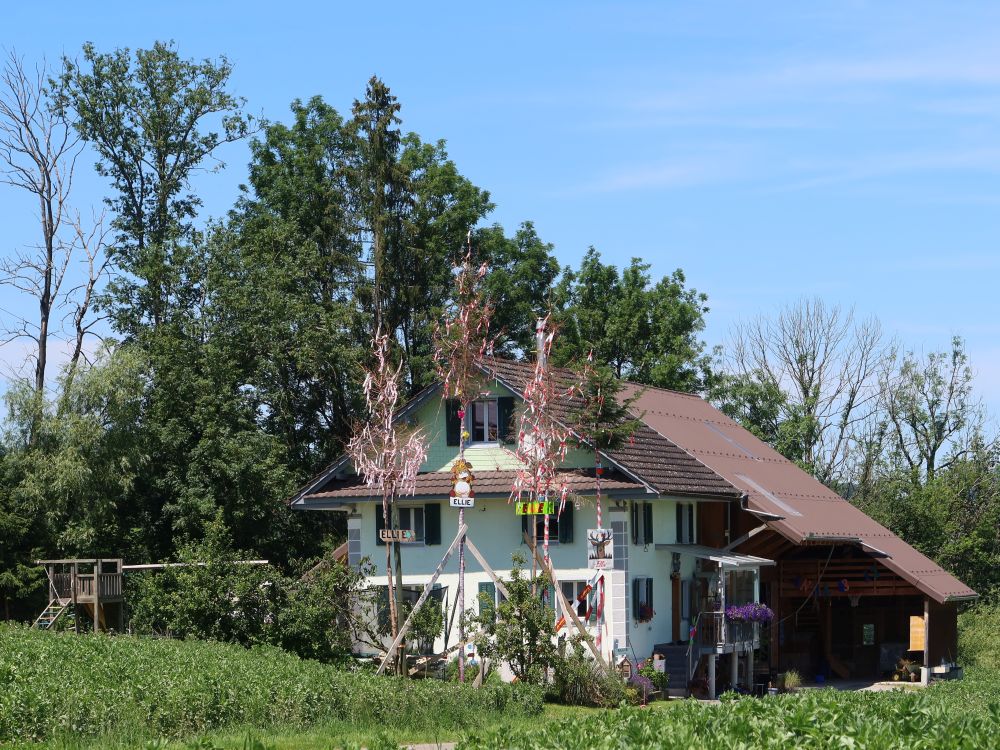 Haus bei Mürgi