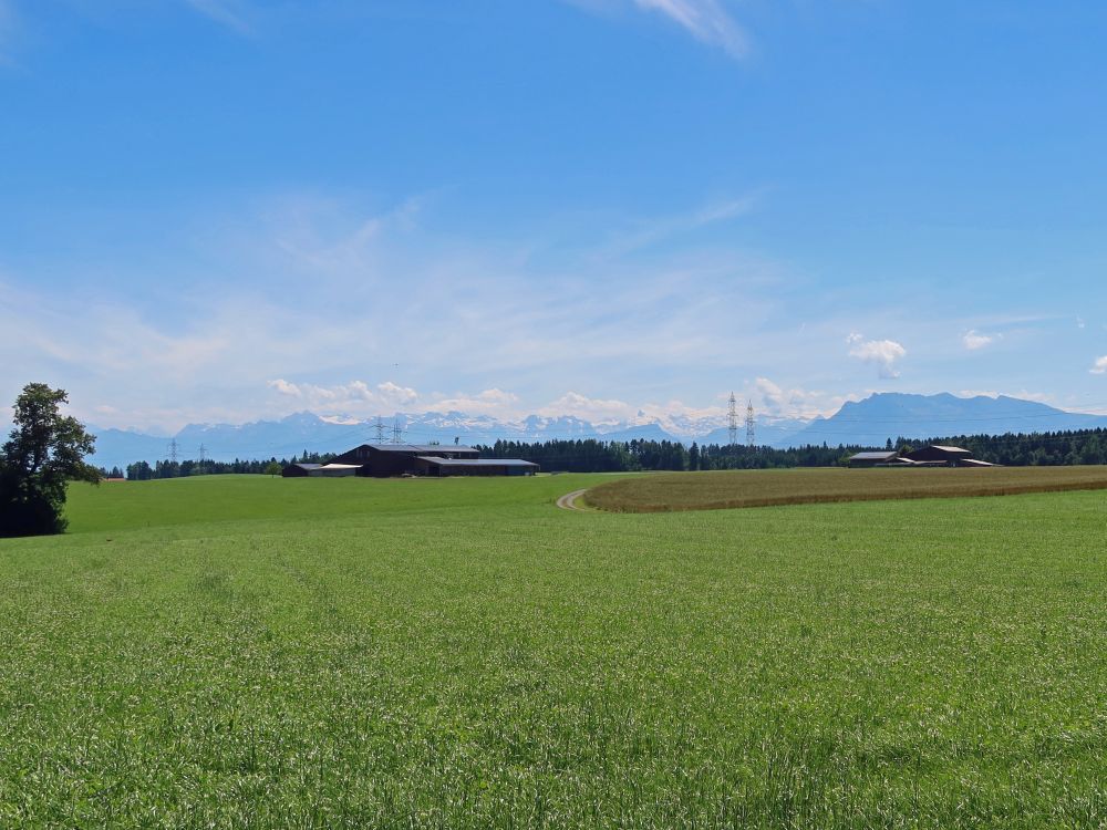 Alpenblick mit Pilatus (re.)