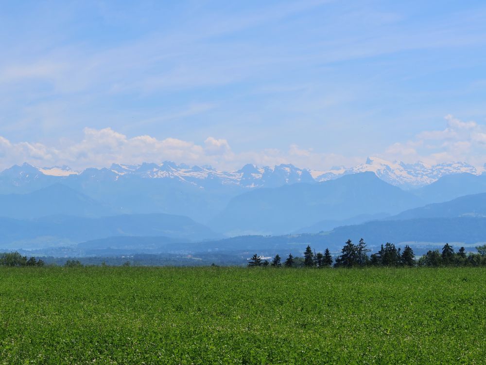 Alpen im Dunst, Titlis (re.)