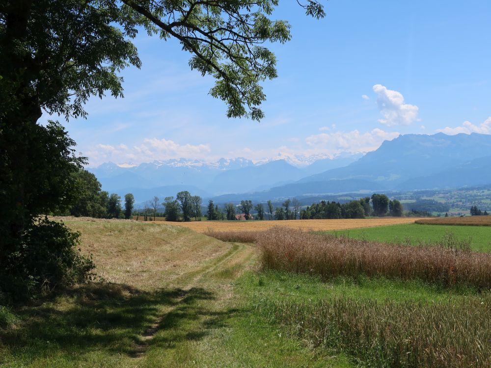 Alpen mit Pilatus (re.)