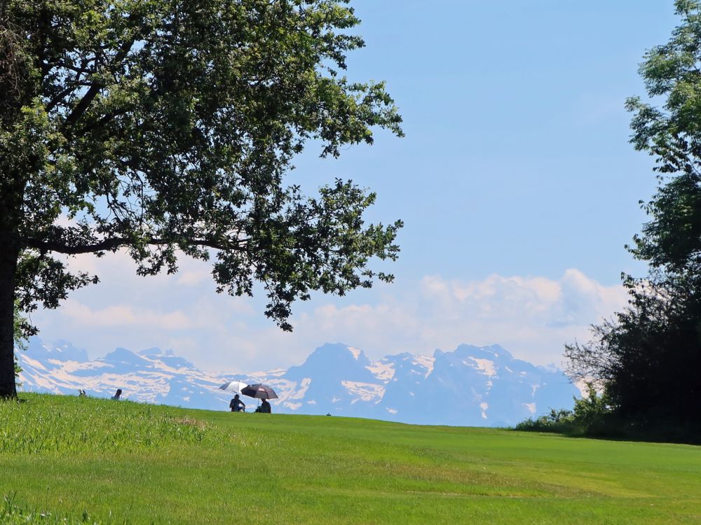 Golfer und die Alpen