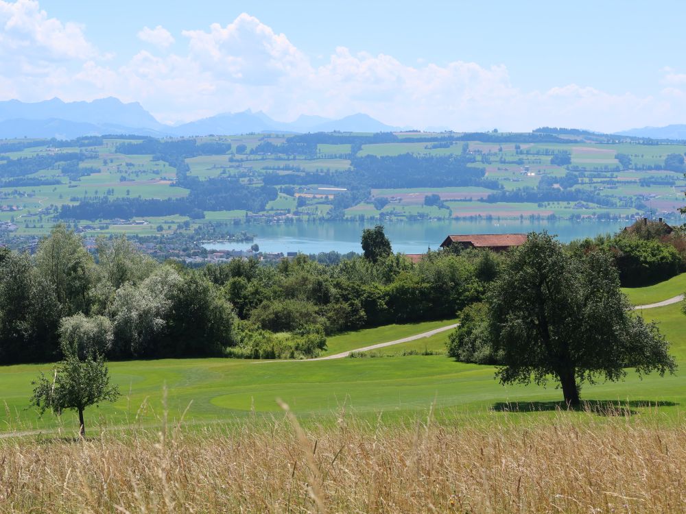 Blick Richtung Sempachersee