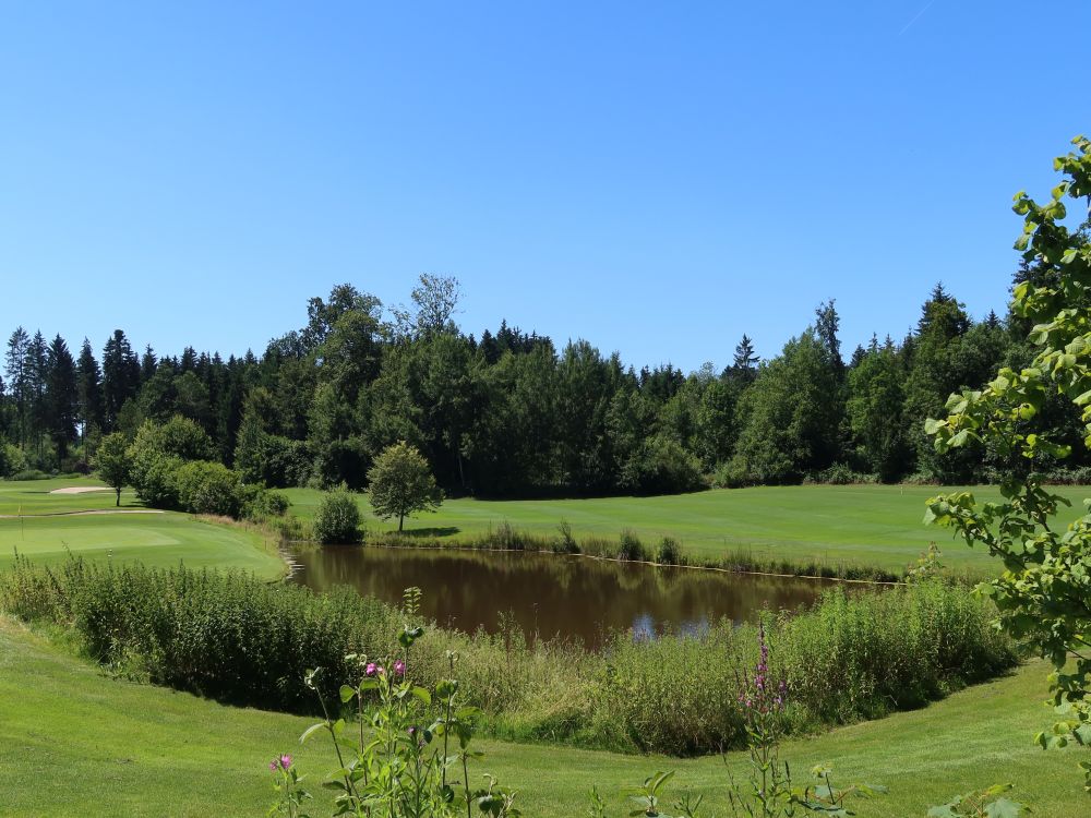 Teich im Golfplatz