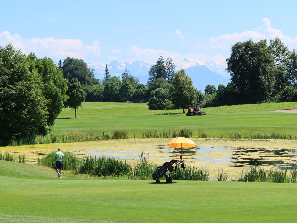 Teich im Golfplatz