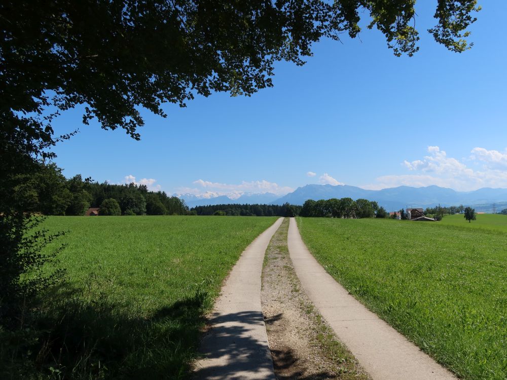 Betonweg und Pilatus