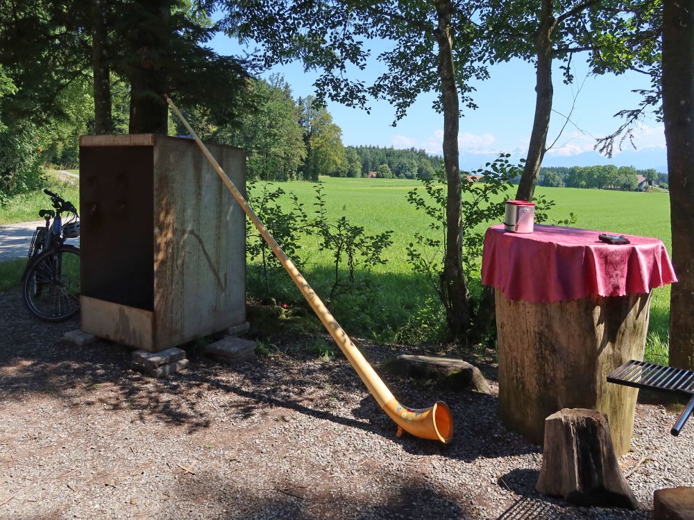 Alphorn