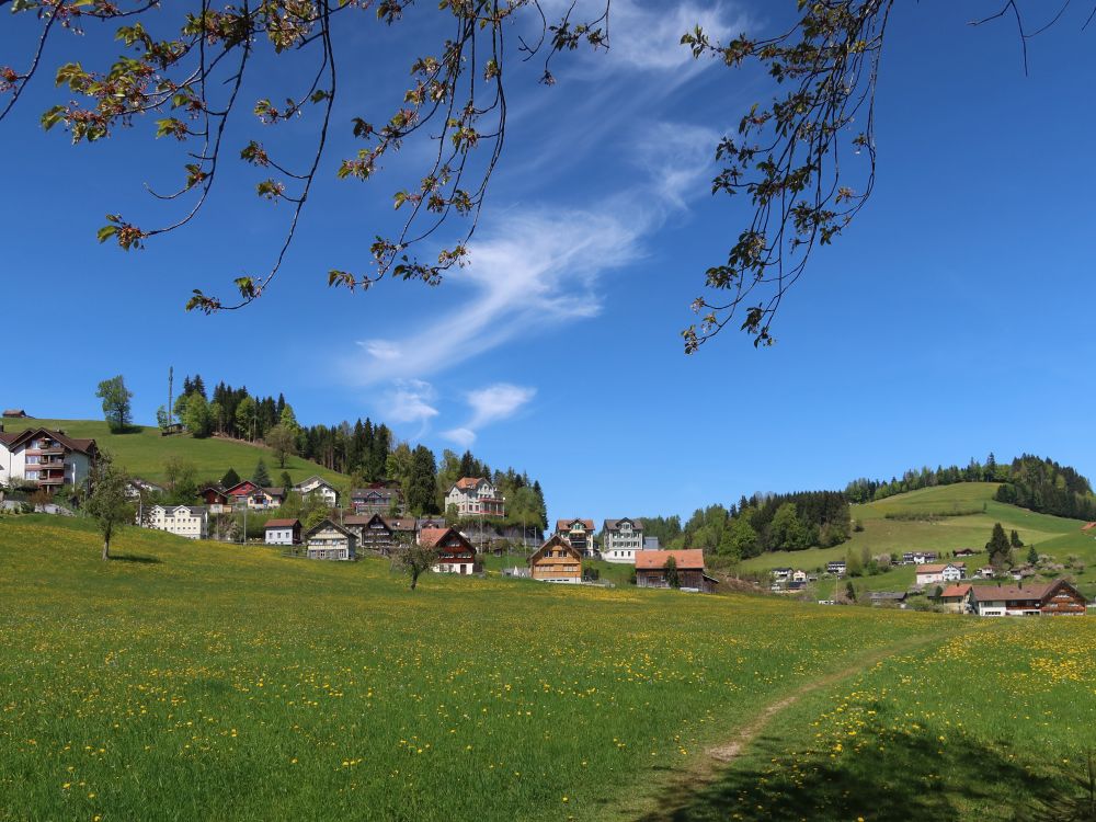 Wiesenpfad bei Kneuwis