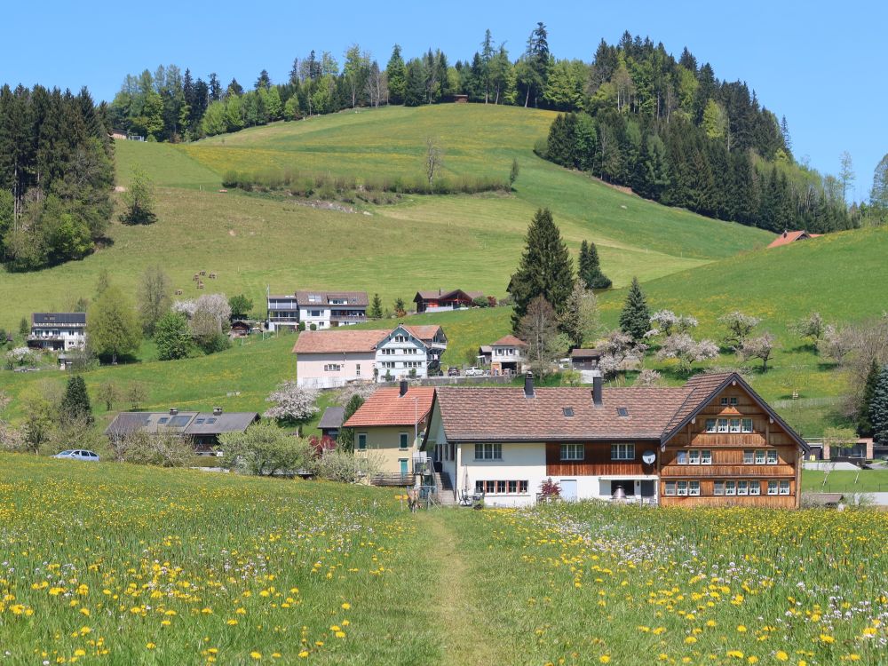Wiesenpfad bei Ebni