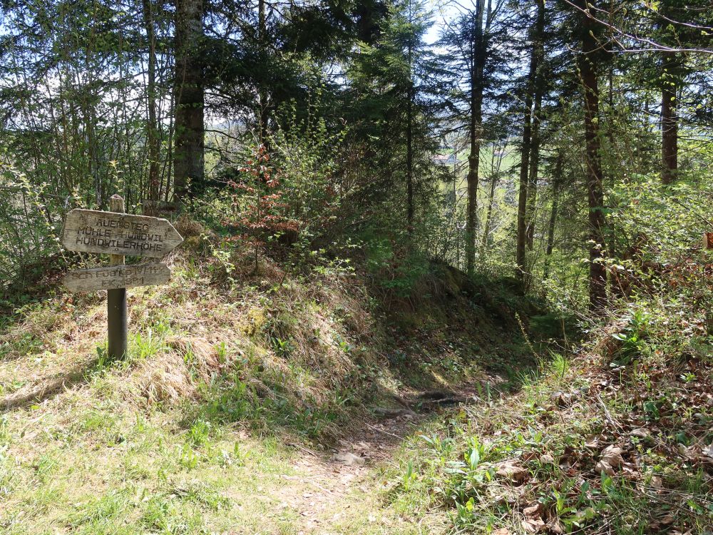 Wegweiser