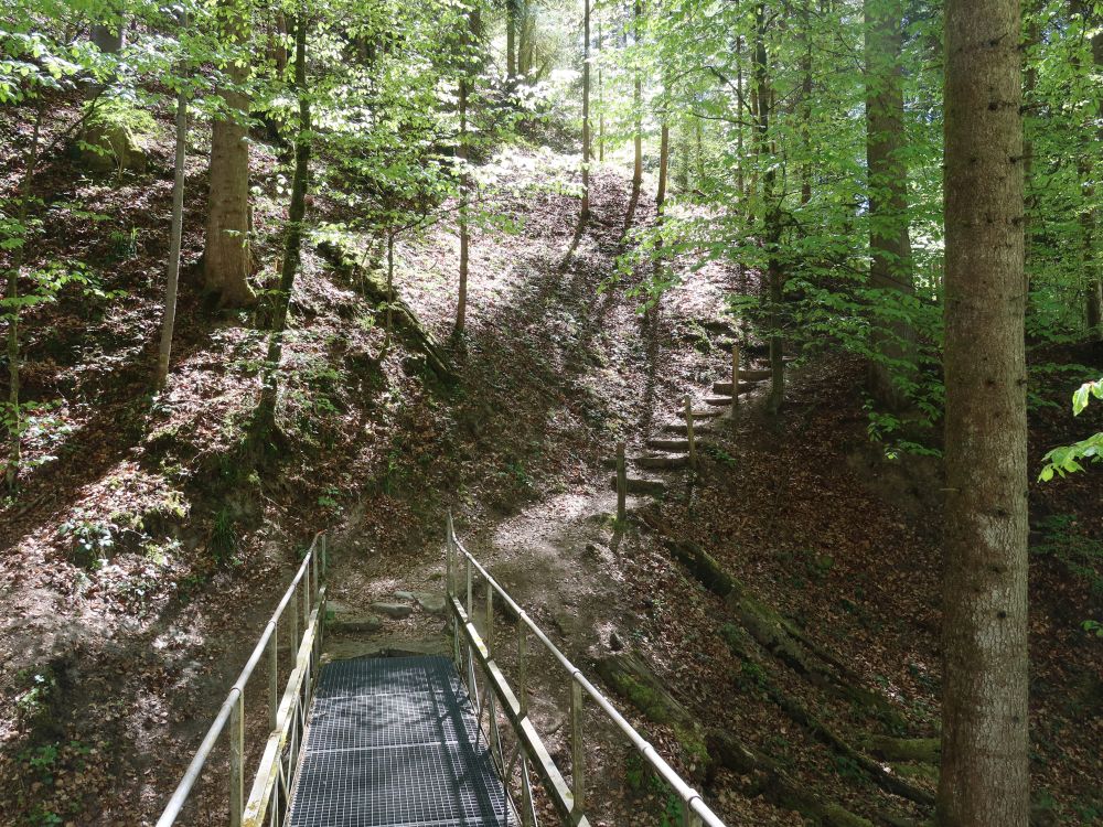 Auensteg