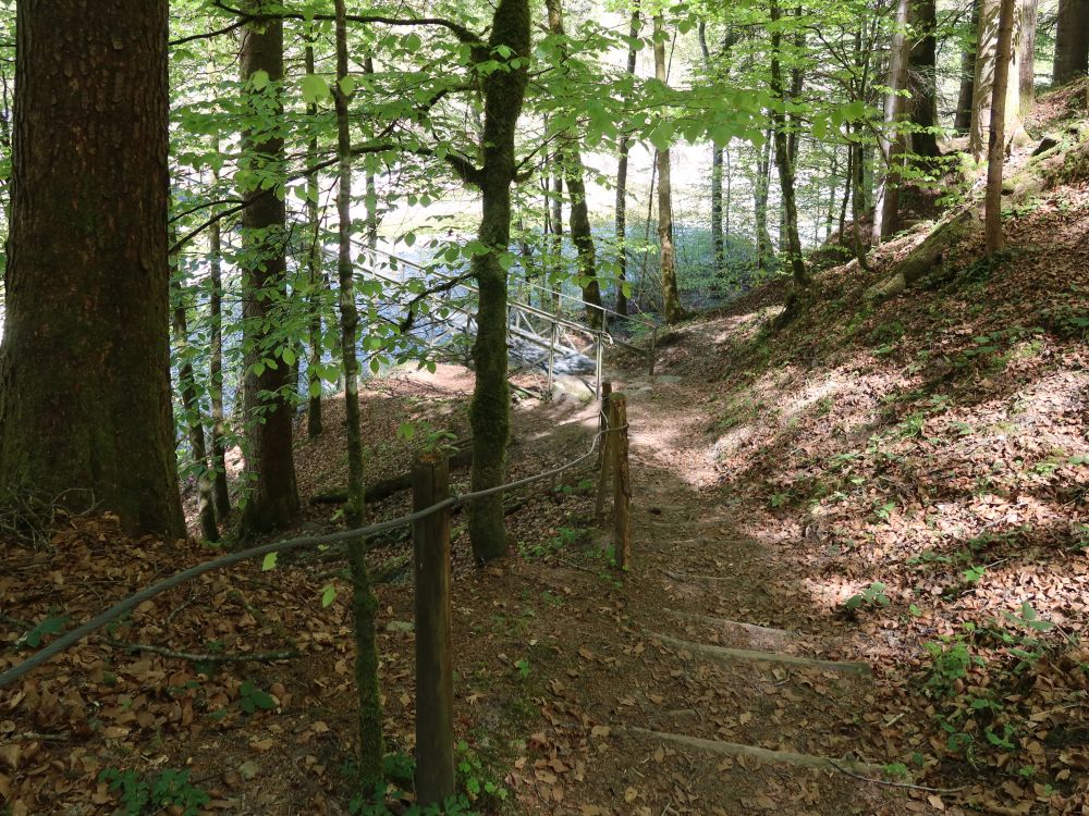 Treppe beim Auensteg