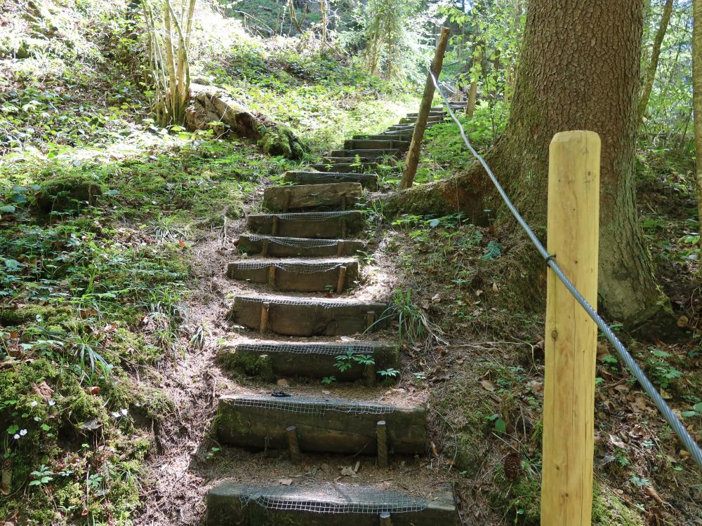 Treppe beim Auensteg
