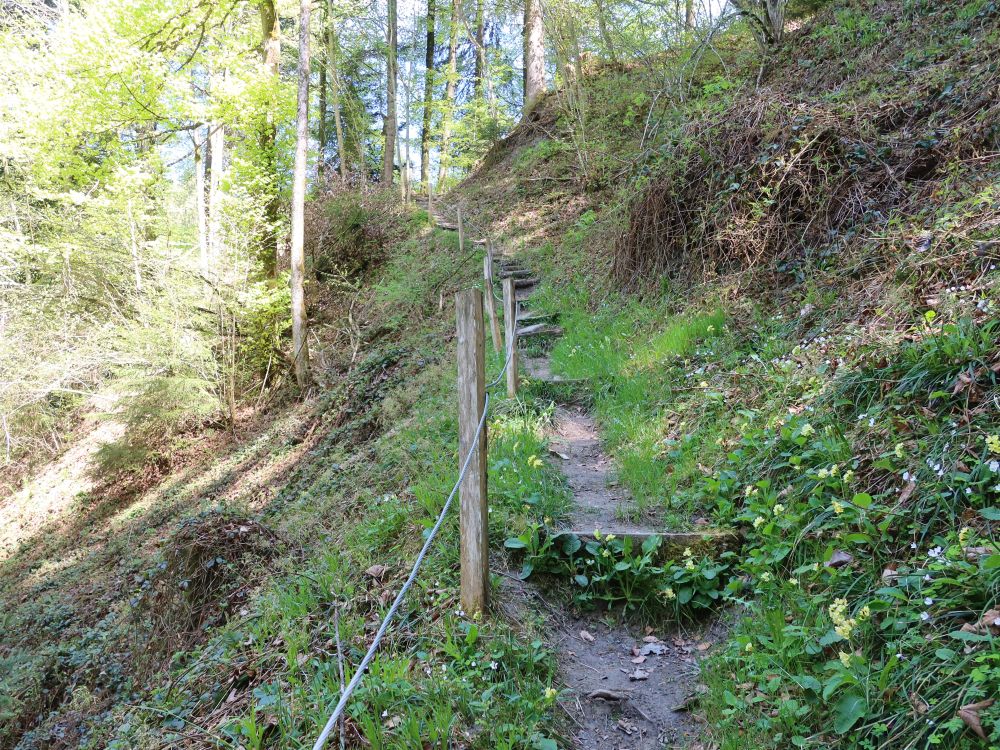 Treppe beim Auensteg