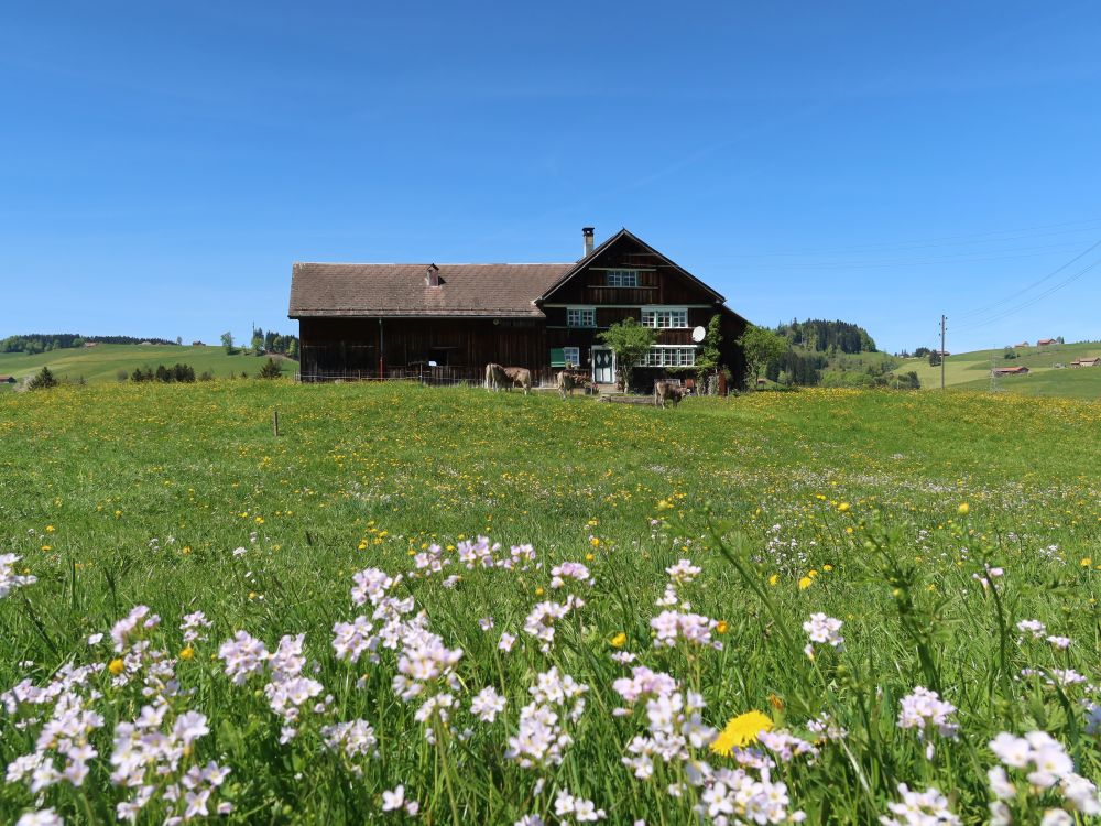 Bauernhof bei Auen