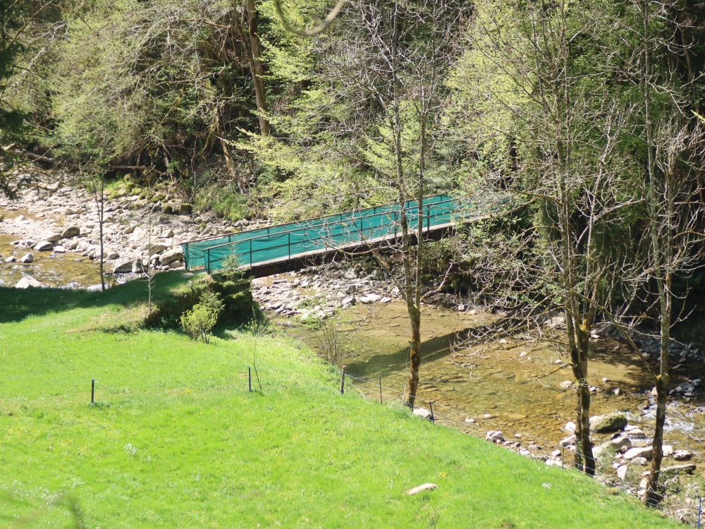 Auenlochsteg