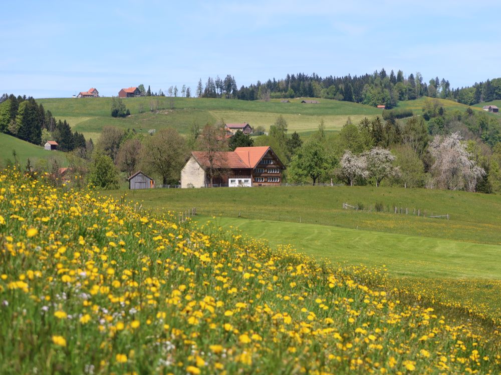 Badgüetli