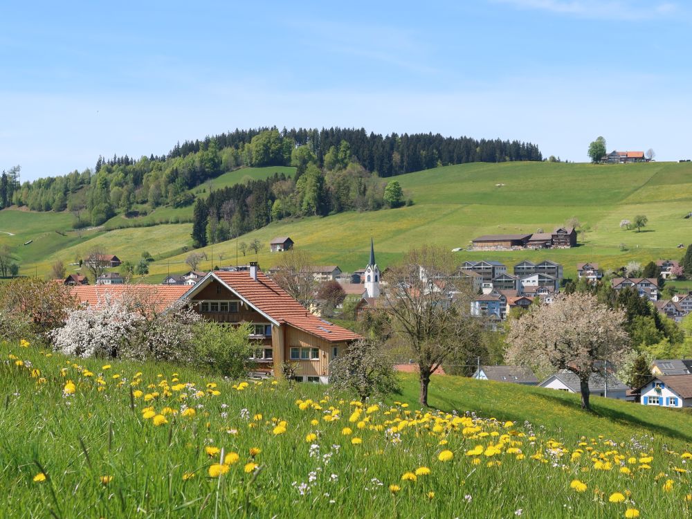 Blick Richtung Waldstatt