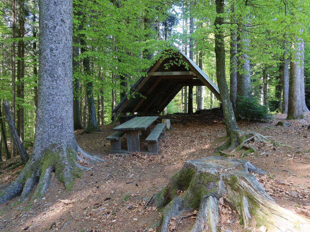 Waldhütte