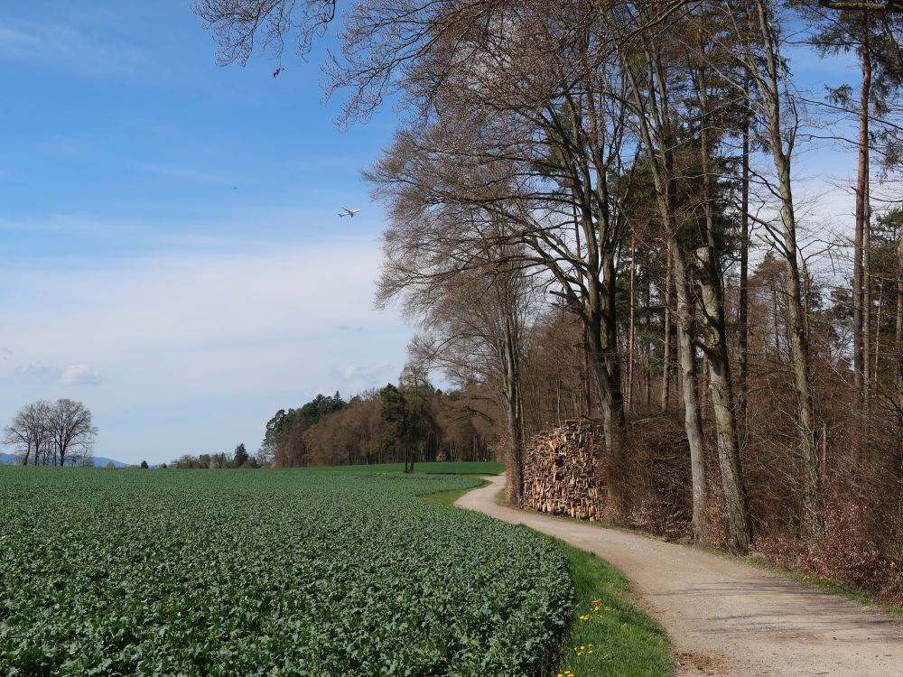 Effretikonstrasse