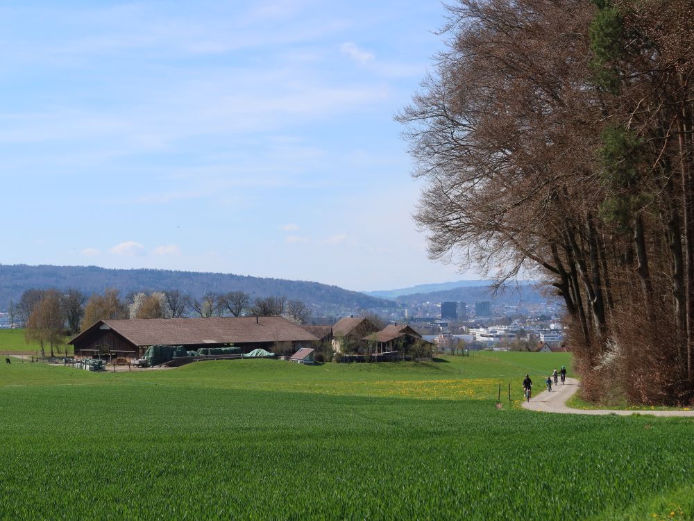Blick Richtung Zürich