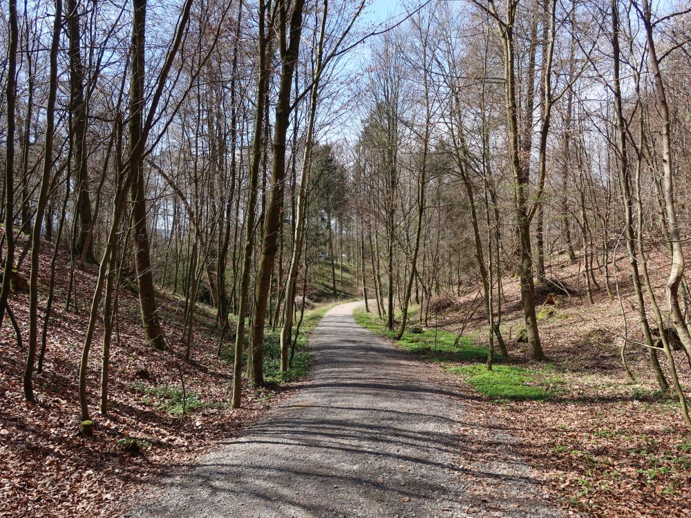 Waldweg
