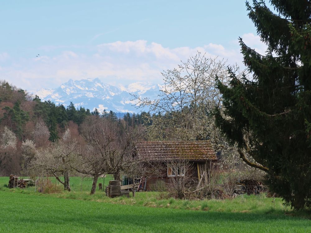 Mürtschenstock und Hütte