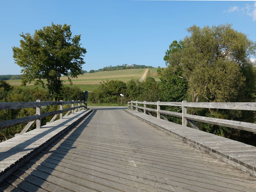 Donaubrücke und Wartenberg