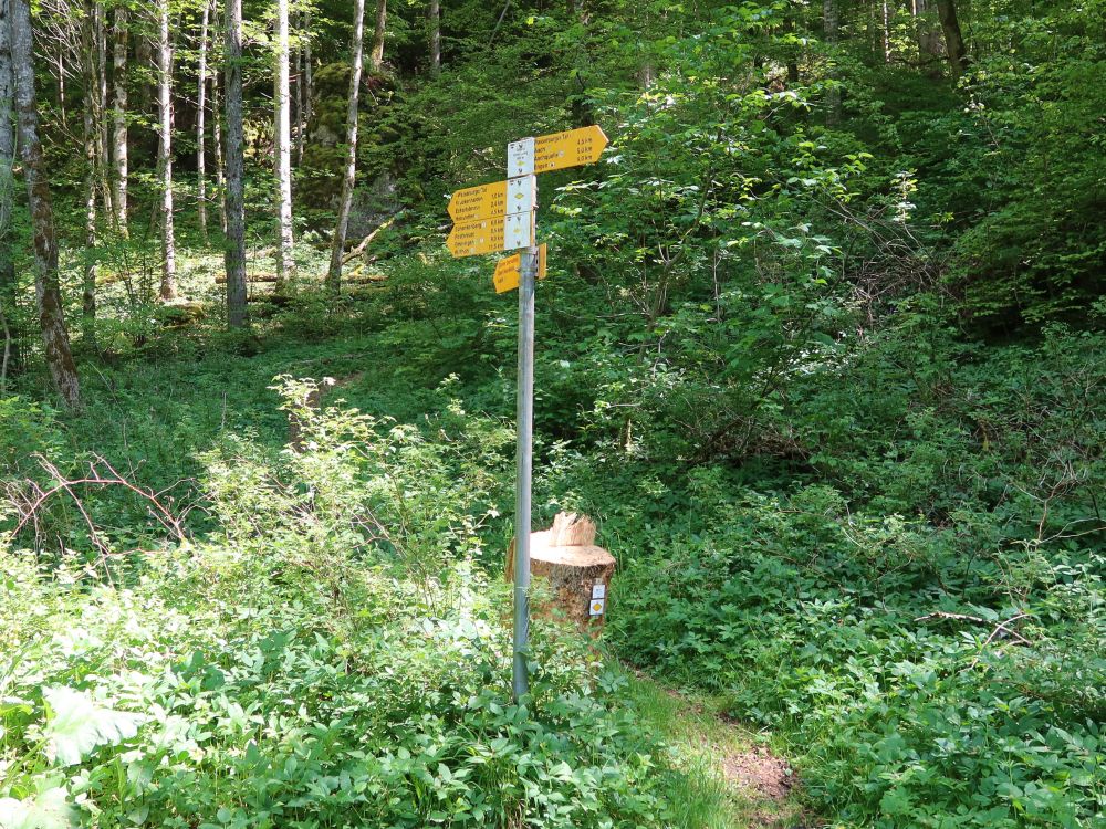 Unterm Katzensteig