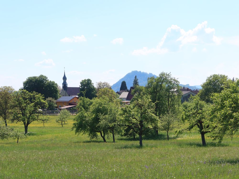 Kirche Bittelbrunn und Hohenhewen