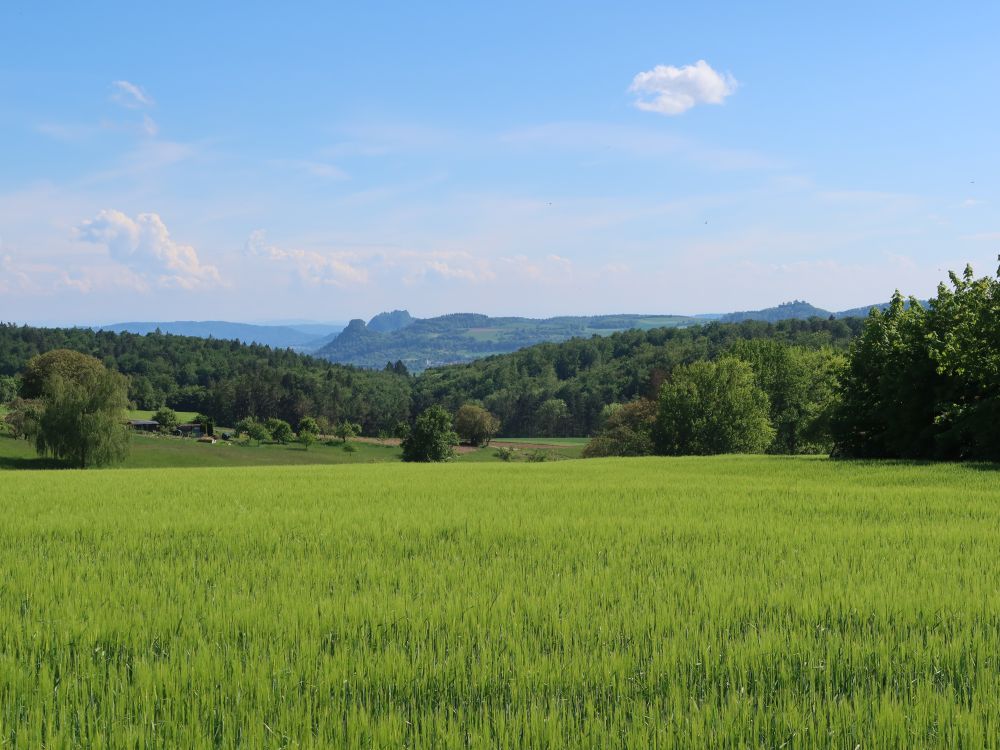Hohenkrähen, Hohentwiel und Mägdeberg