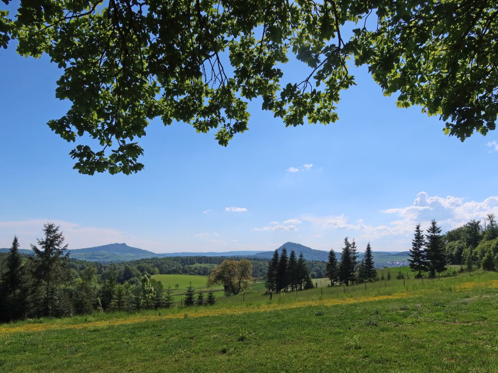 Hohenstoffeln und Hohenhewen